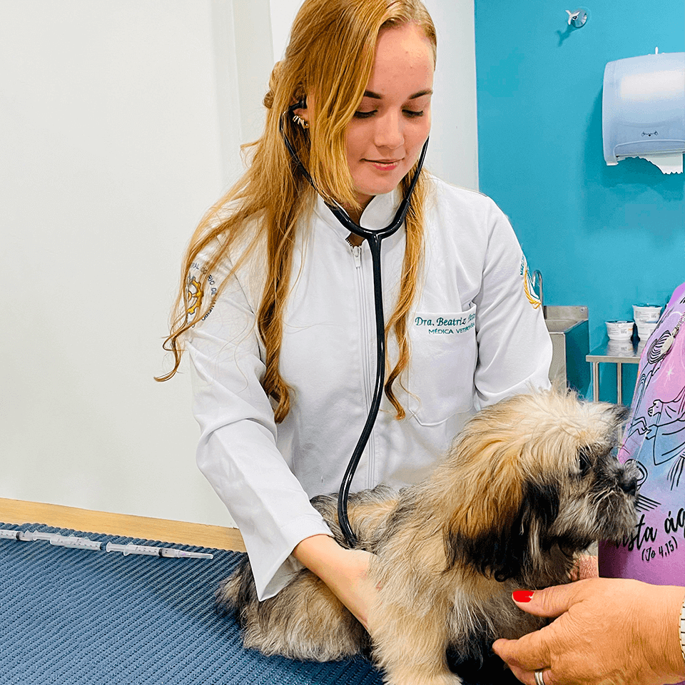 galeria-clesam-vet-foto-2