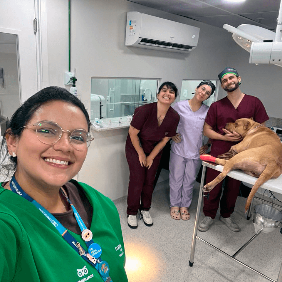 galeria-clesam-vet-foto-4