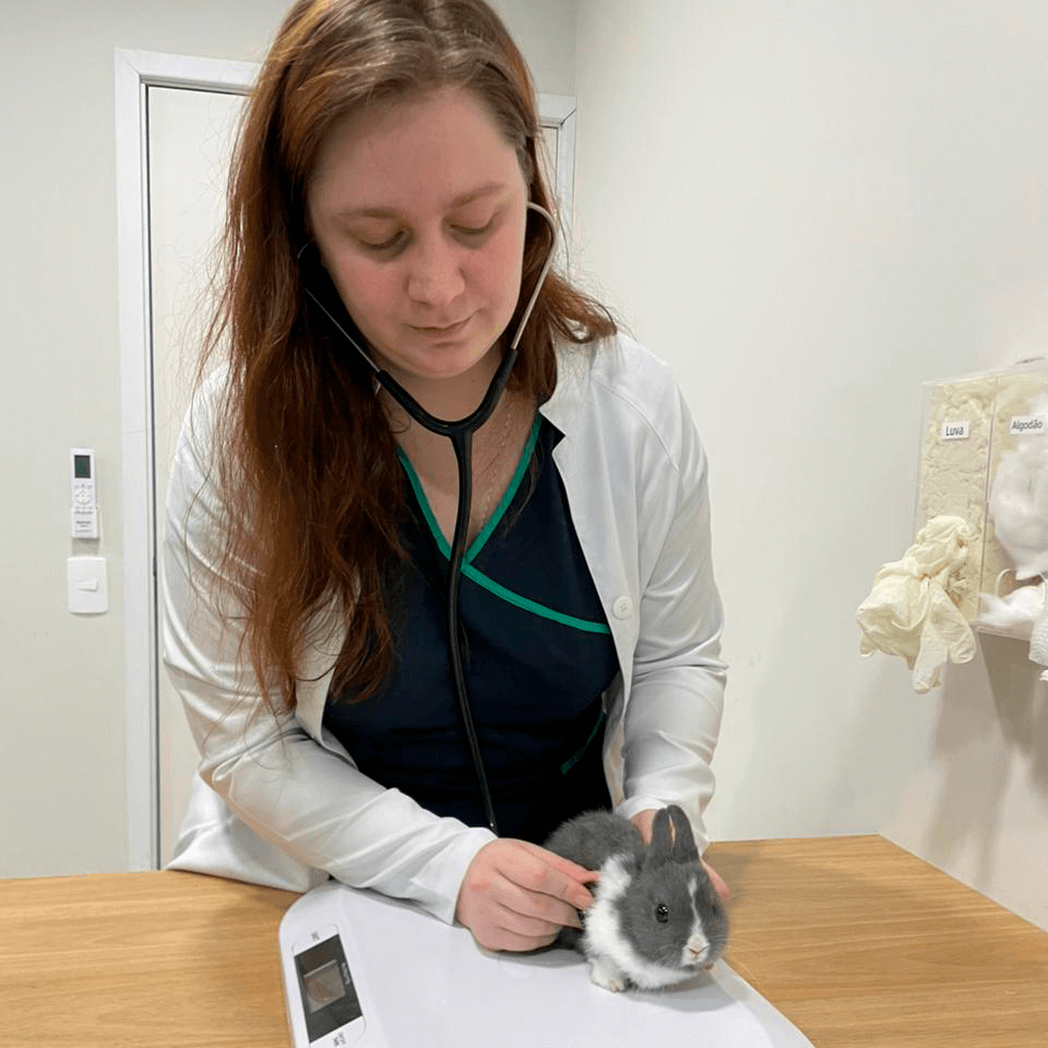 galeria-clesam-vet-foto-6