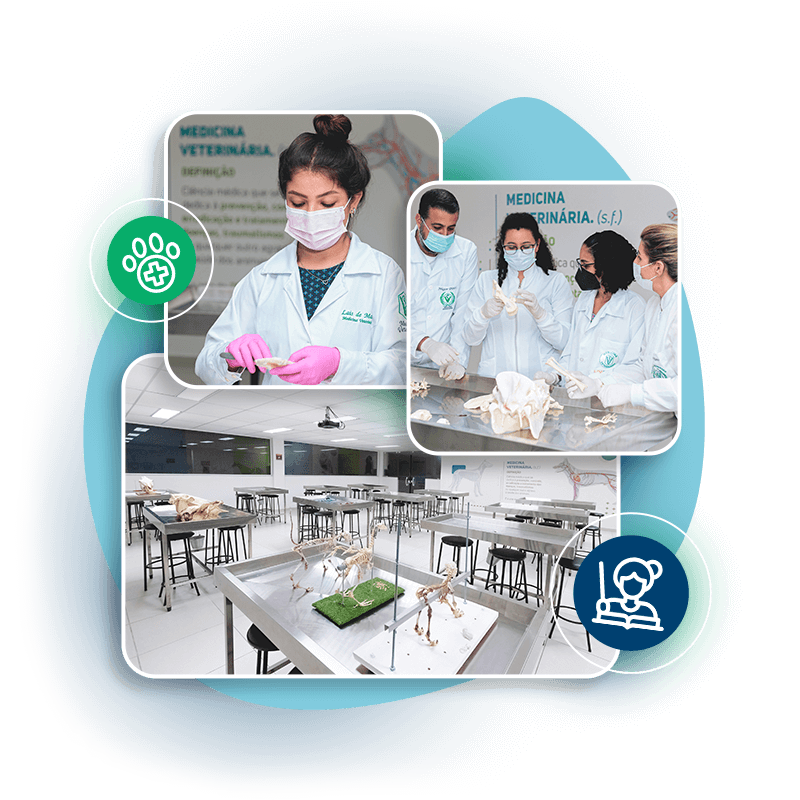 clesam-med-vet-1