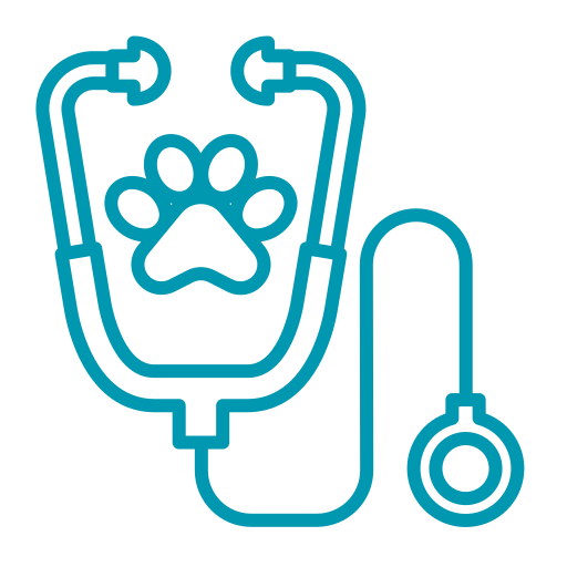 stethoscope_4889141